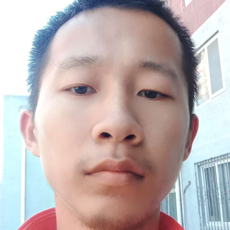 龙猫说淡淡的照片