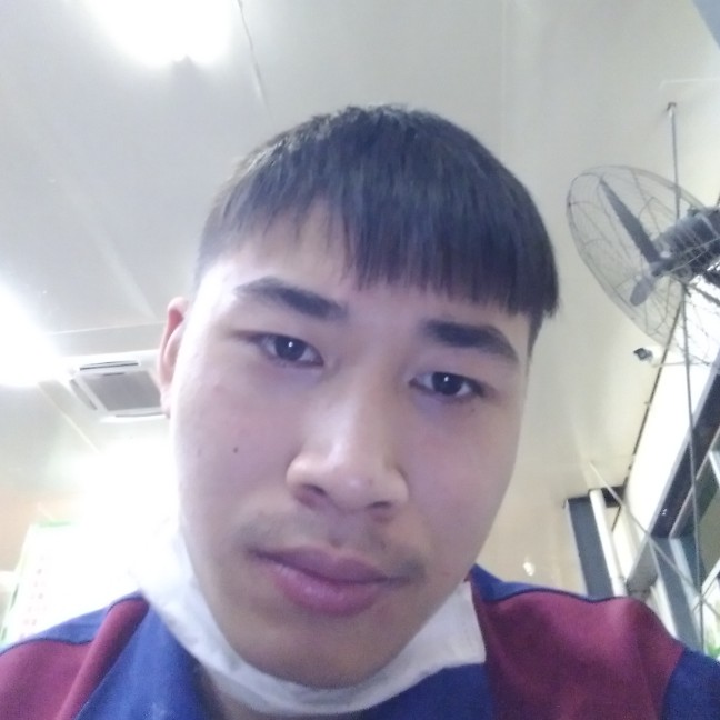 玫瑰踢精明的照片