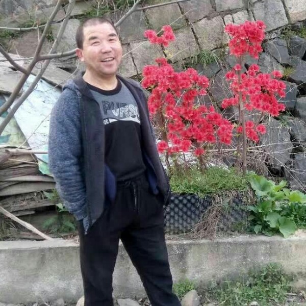 八宝粥凝眸热心的照片