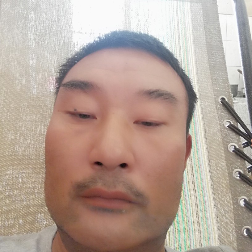 老虎停止耍酷的照片