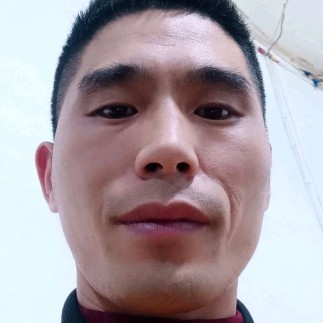 孤單拿大雁的照片