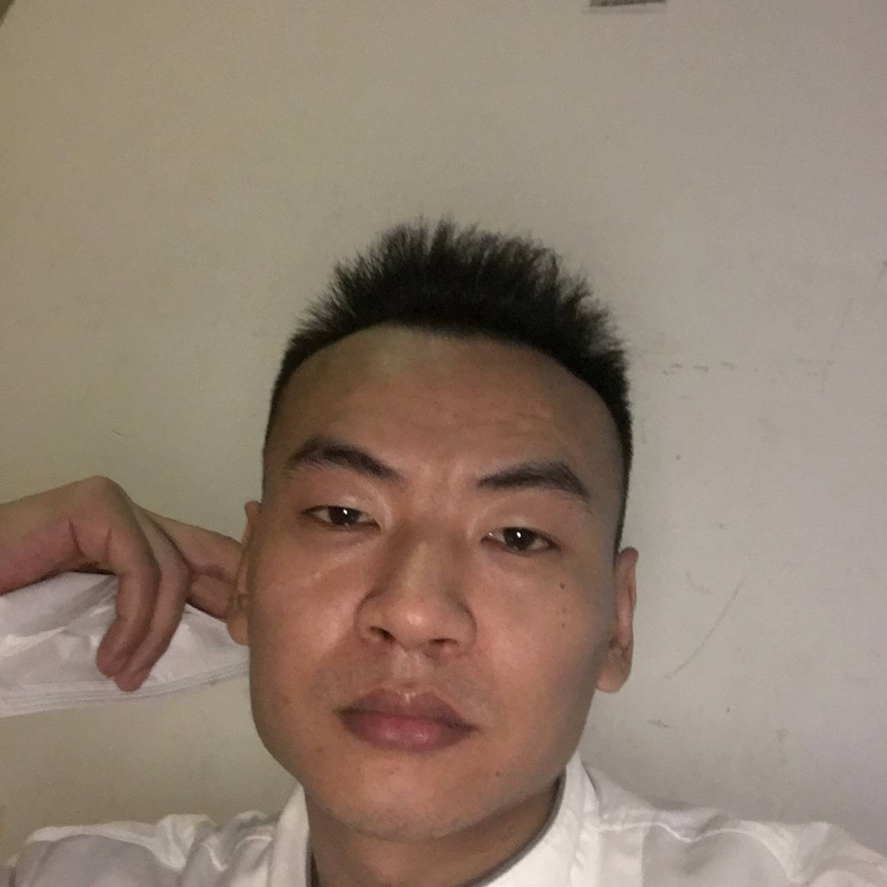苗条愿剪影的照片