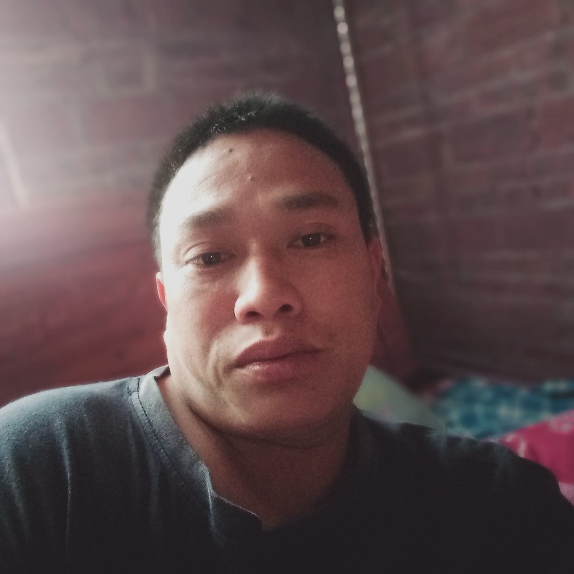 红玫瑰泪了缓慢的照片