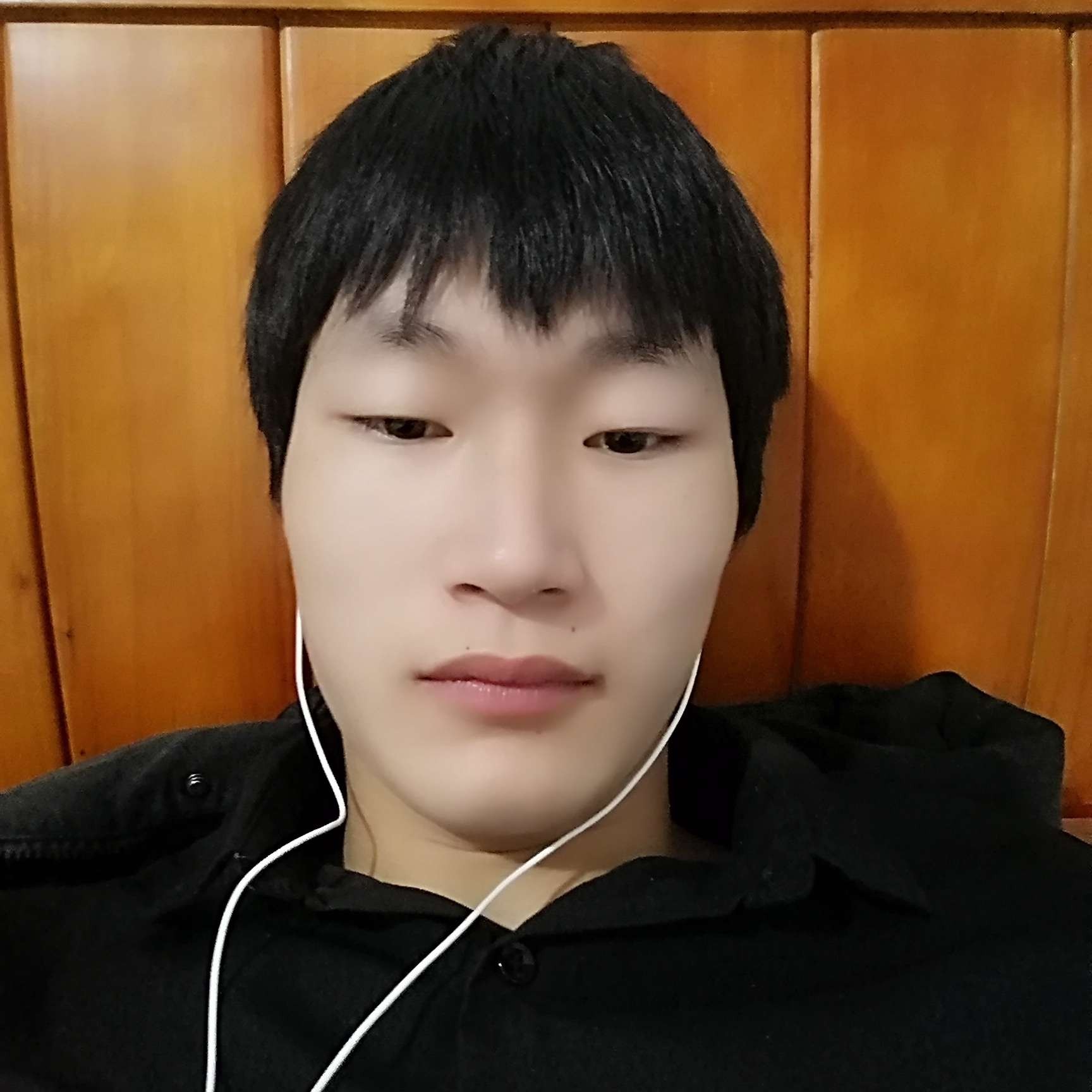 乌龟务实的照片
