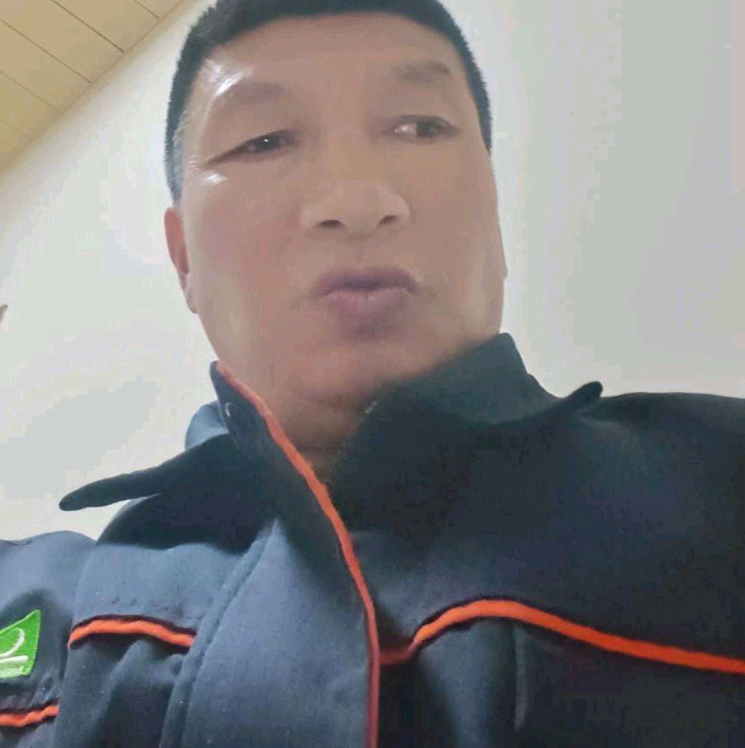 迅速与心岛的照片