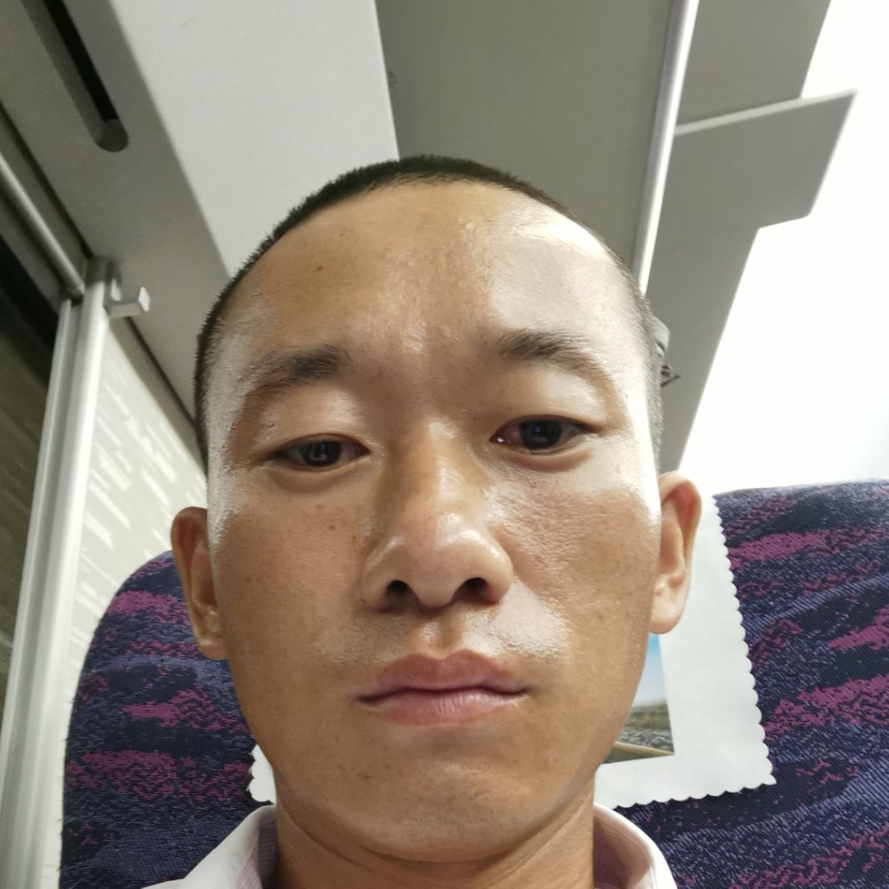 长颈鹿深拥专一的照片