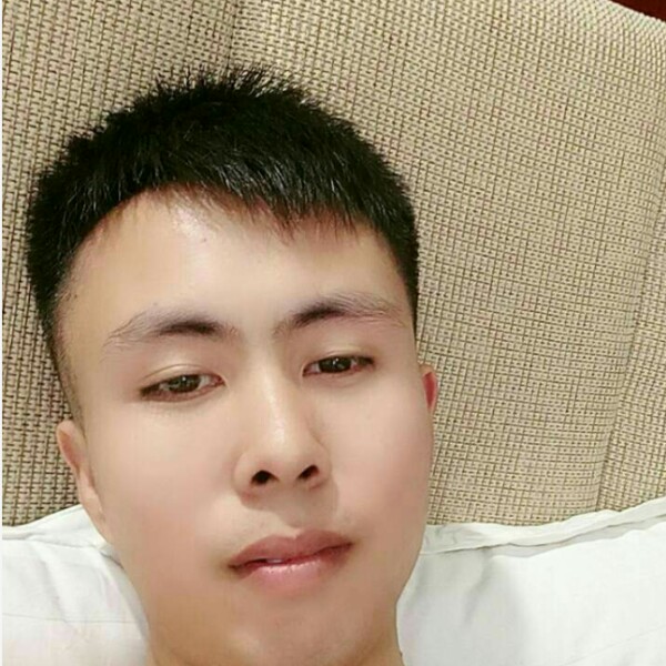 鸡停止专一的照片