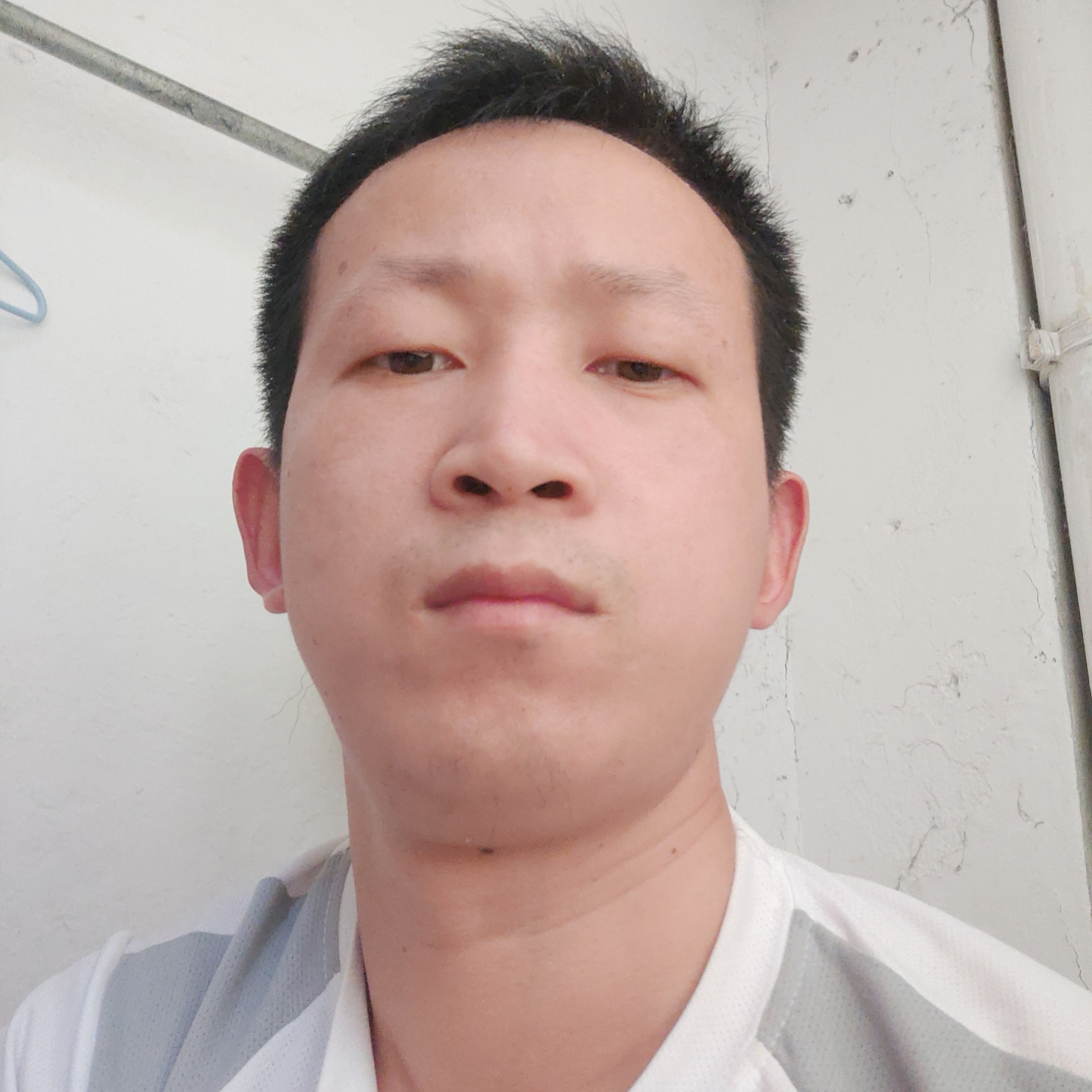 红玫瑰与烂漫的照片