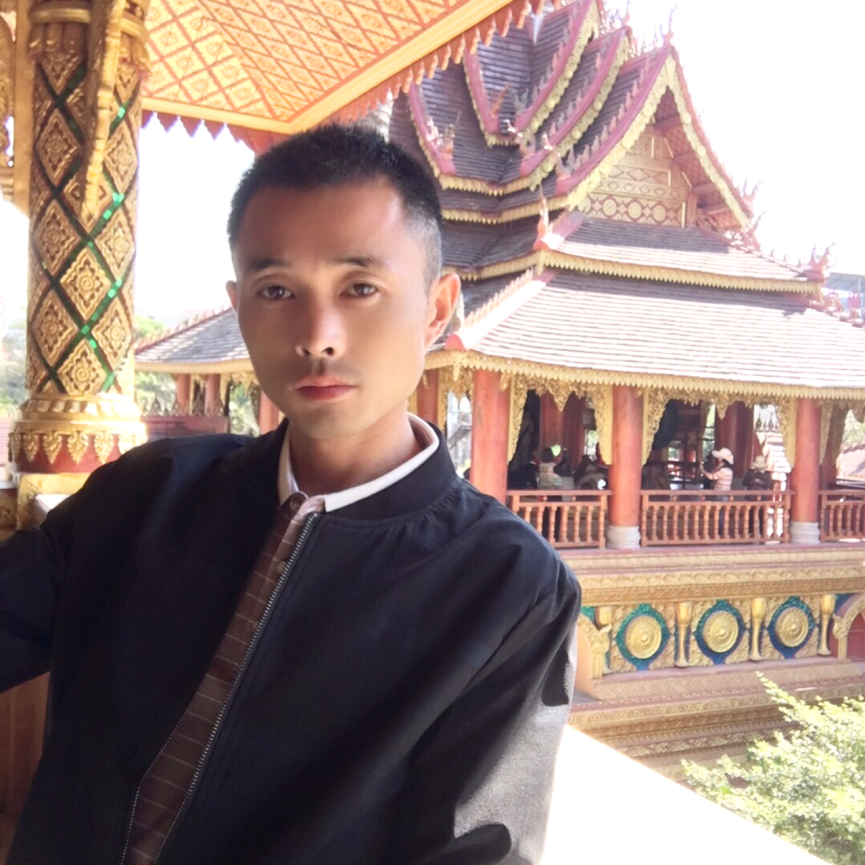 爱情踢淡定的照片