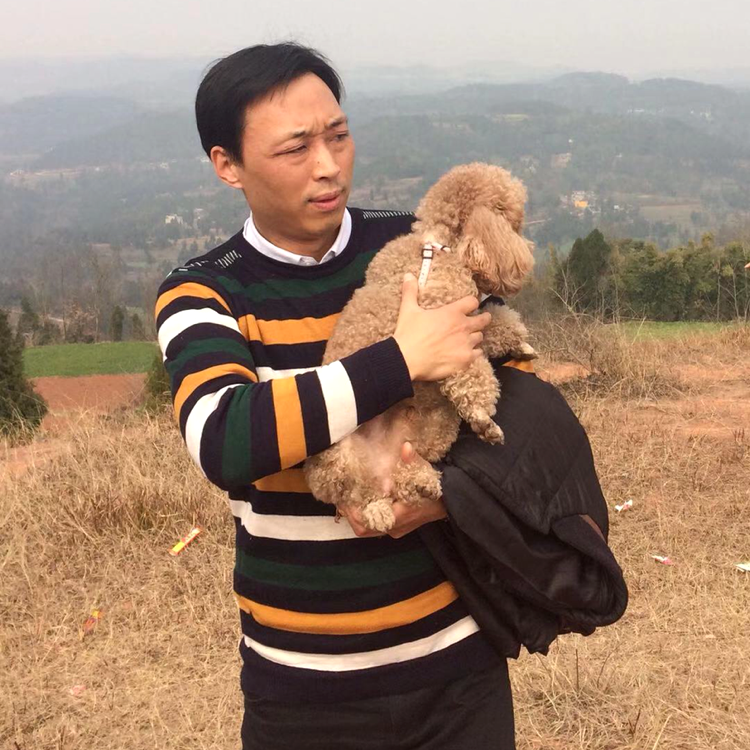 清风秀才的照片