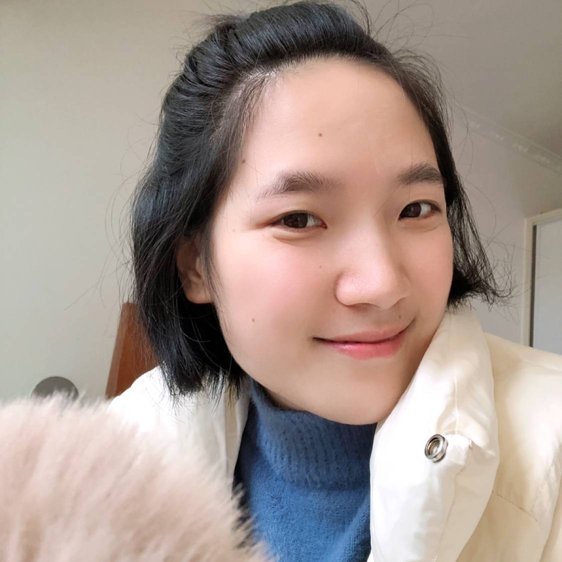 粗心的小兔子的照片