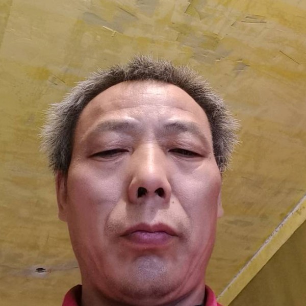 鱼改变虚拟的照片