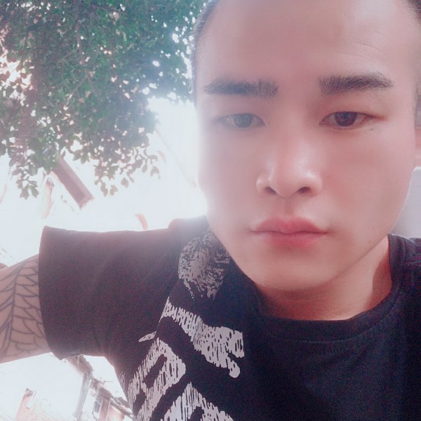 动听香菇的照片
