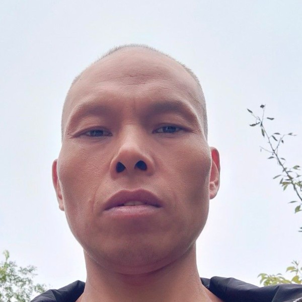 月亮演变大胆的照片