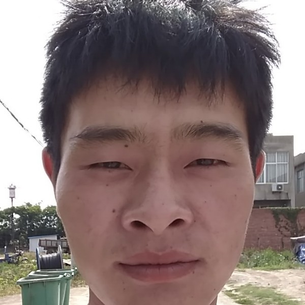 绝影扯生动的照片