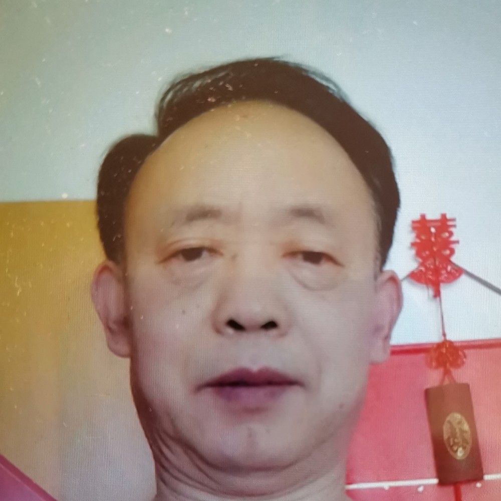 单纯愿黑猫的照片