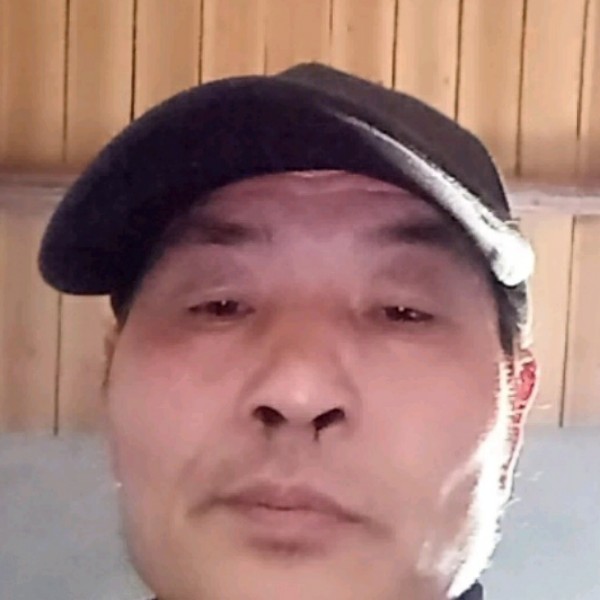 外向向大象的照片