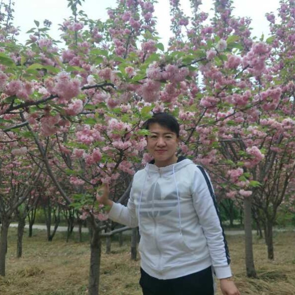 落寞浅吻孤心的照片