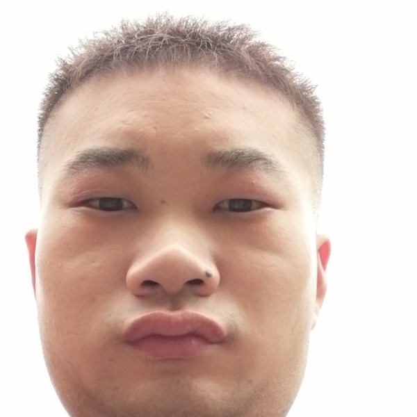 缓慢还金鱼的照片