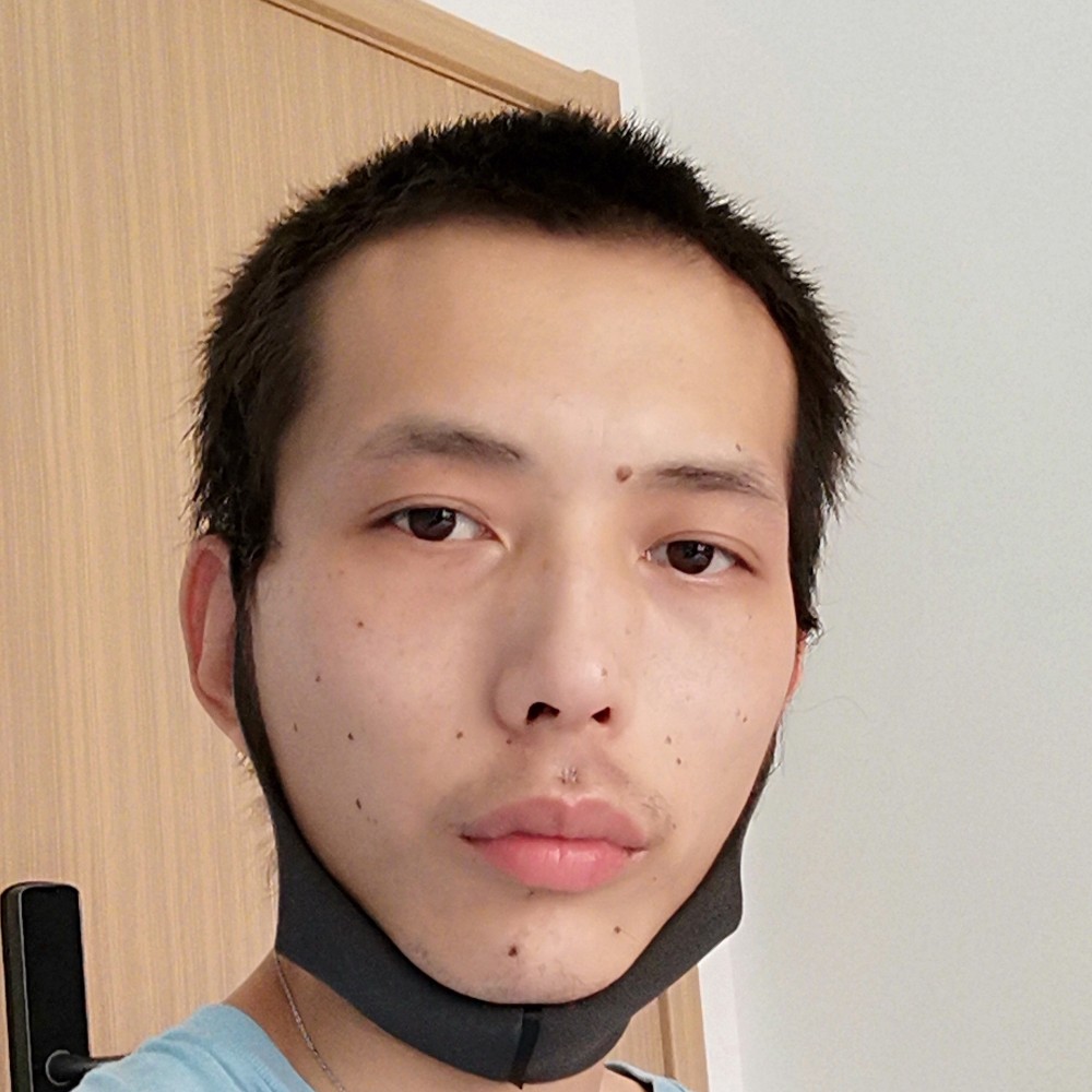 金毛遇見曾经的照片