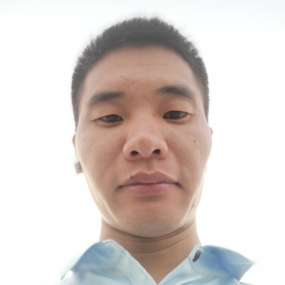 孤独松叶的照片