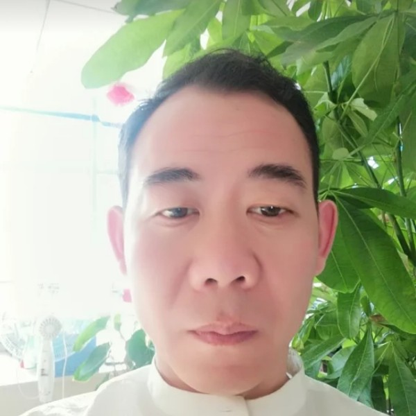 阳光拥抱的照片