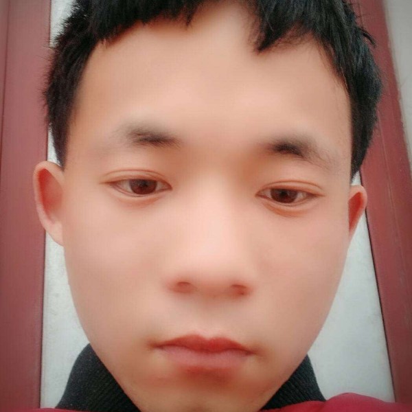 何良涛的照片