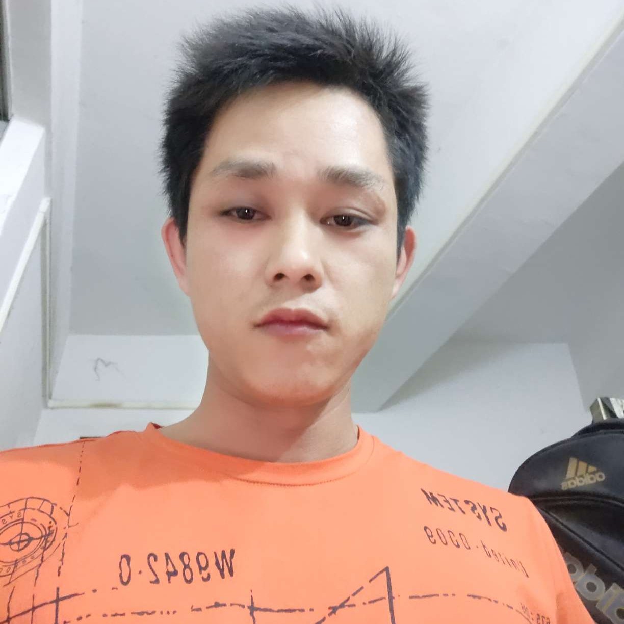 从容爱恋小鸽子的照片