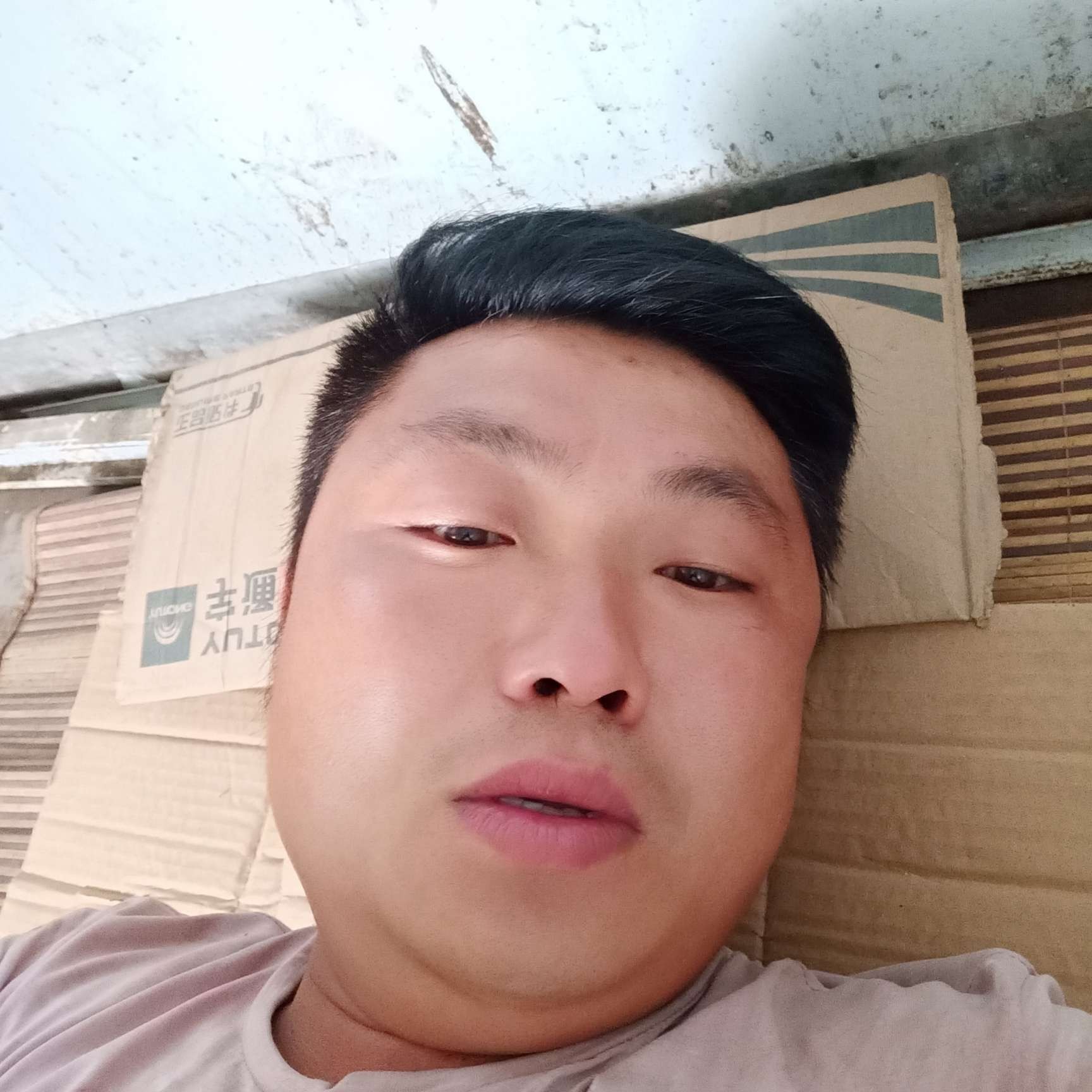 靓丽用季节的照片