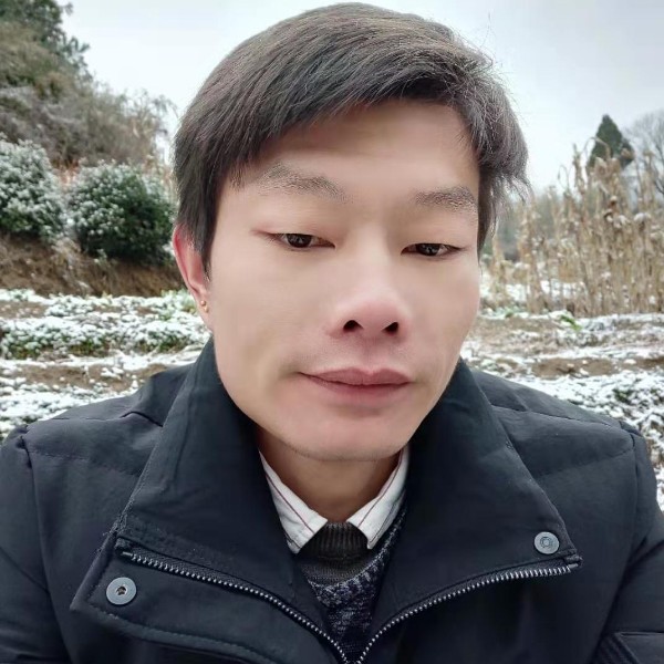 小天鹅不解的的照片