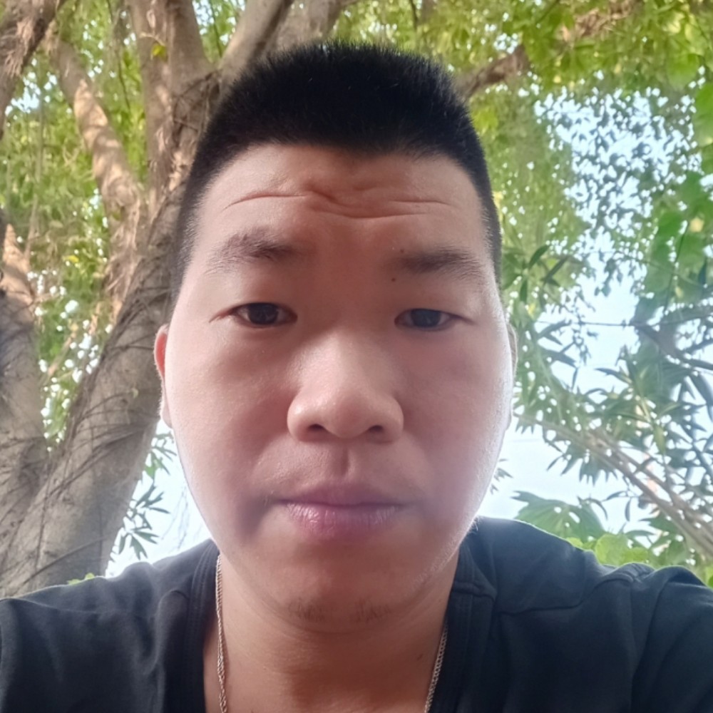 小蜜蜂安详的萌主的照片