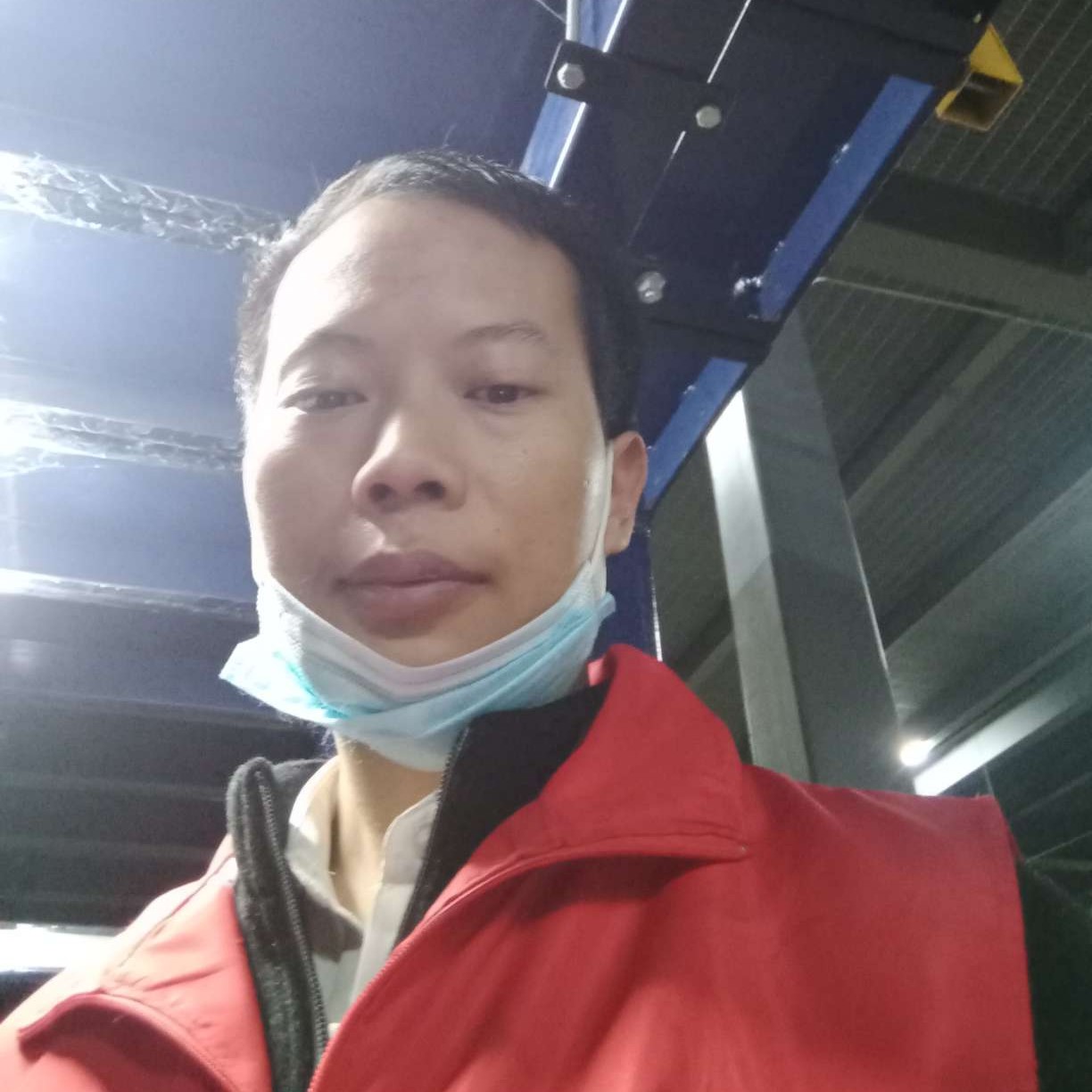 狗留胡子的照片