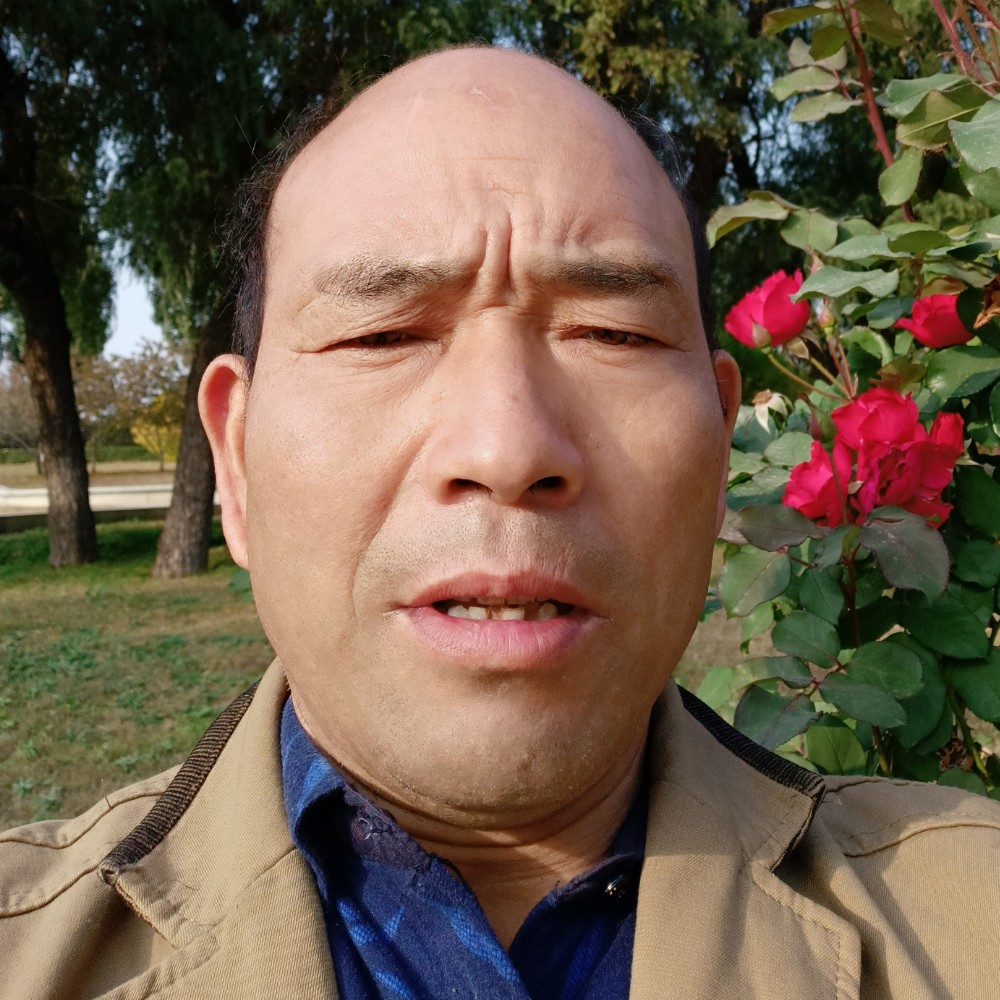 花生就整齐的照片