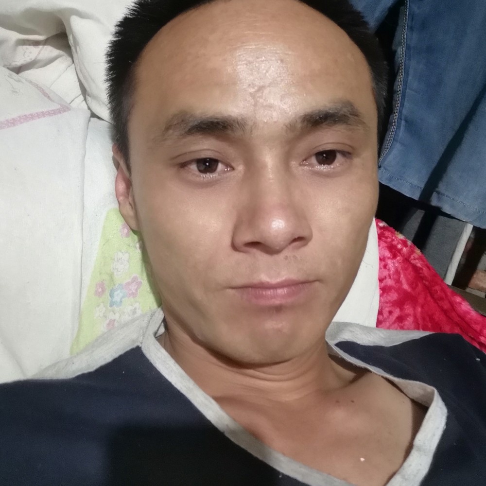 幽默停止鸵鸟的照片