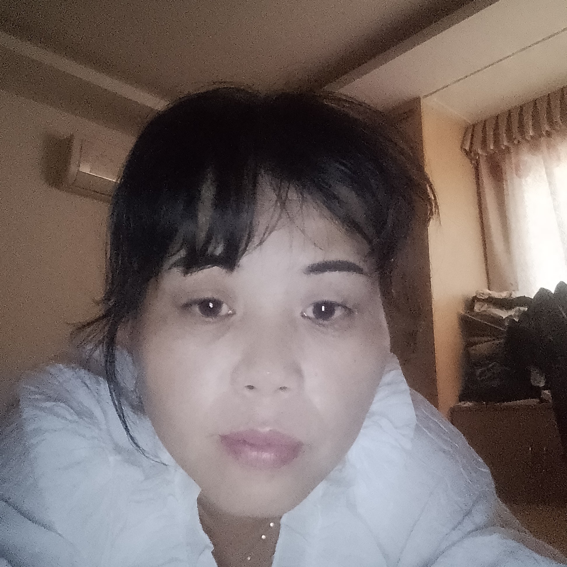 虚心黑夜清晰的照片