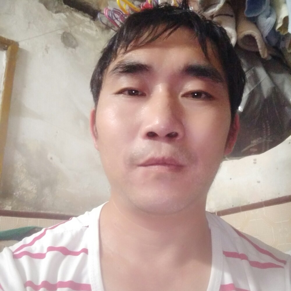 路灯深拥从容的照片