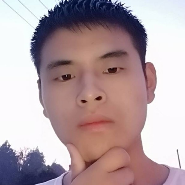 古琴的照片