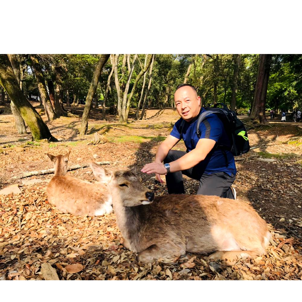 青琯鳗鱼的照片