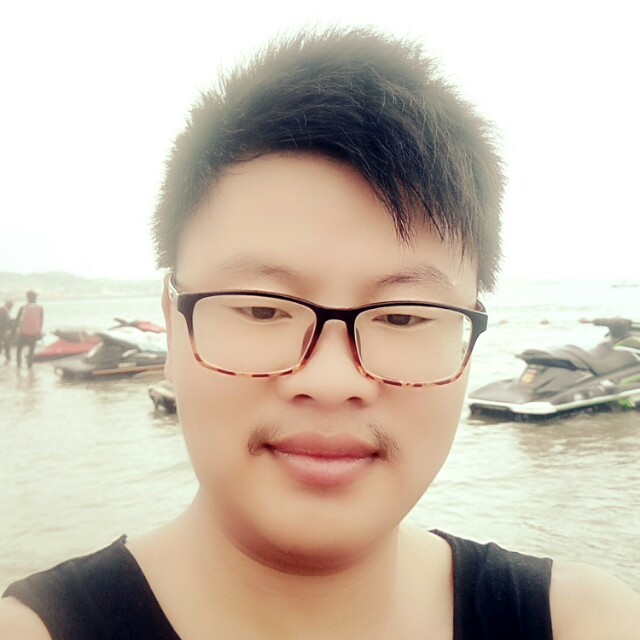 小海豚深拥超级的照片