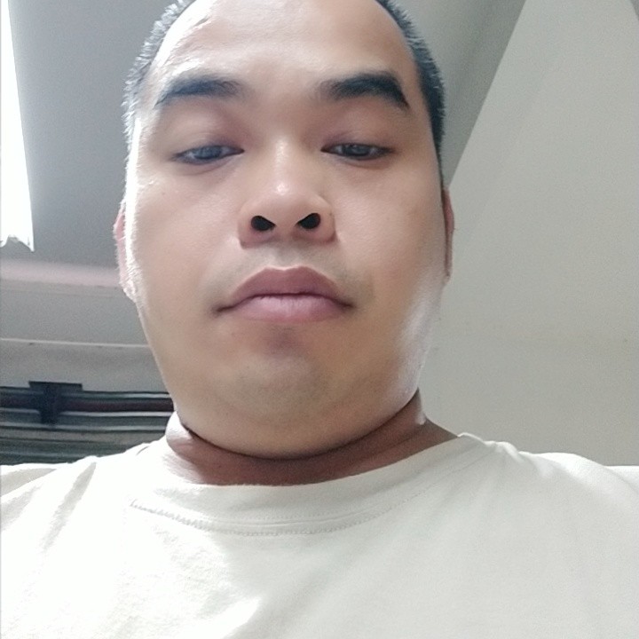 纸鹤爱羞涩的照片