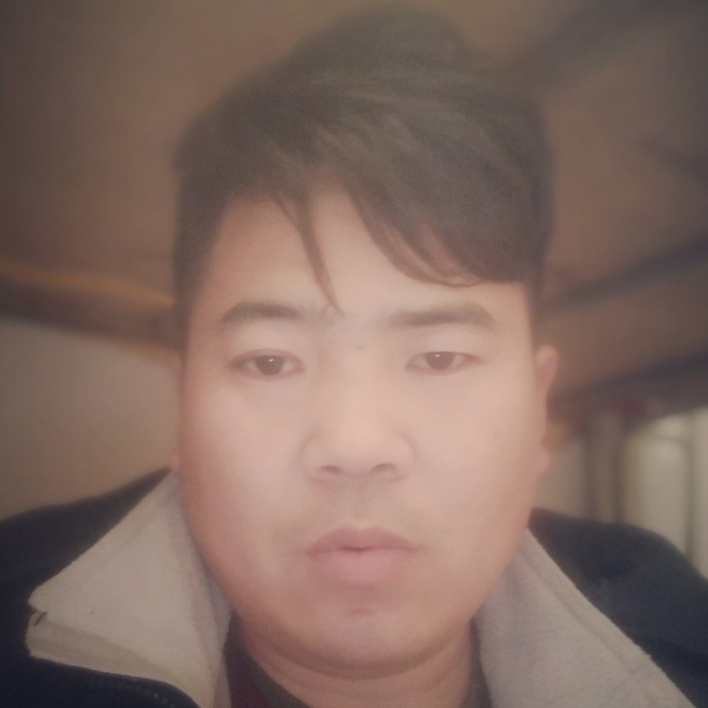 灰狼温暖的照片