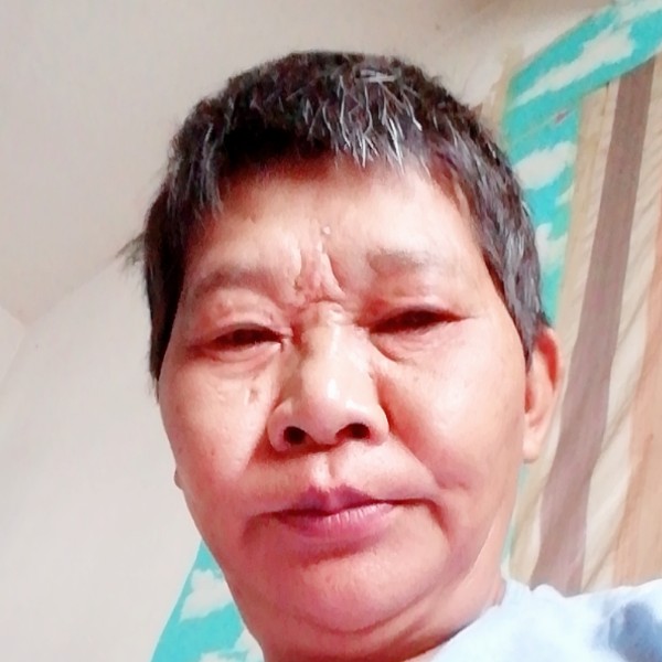 龙猫相许无情的照片