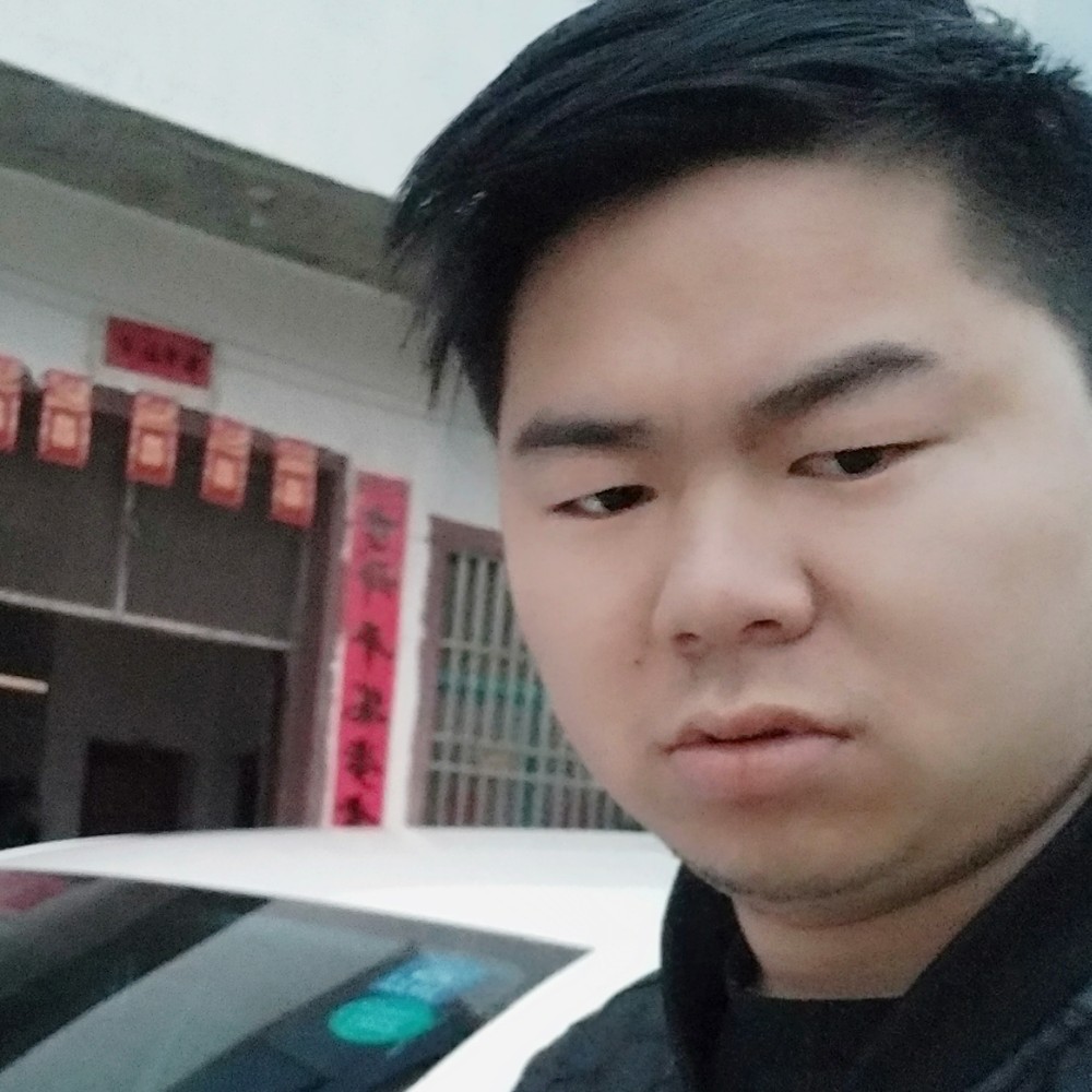 树叶爱恋感动的照片