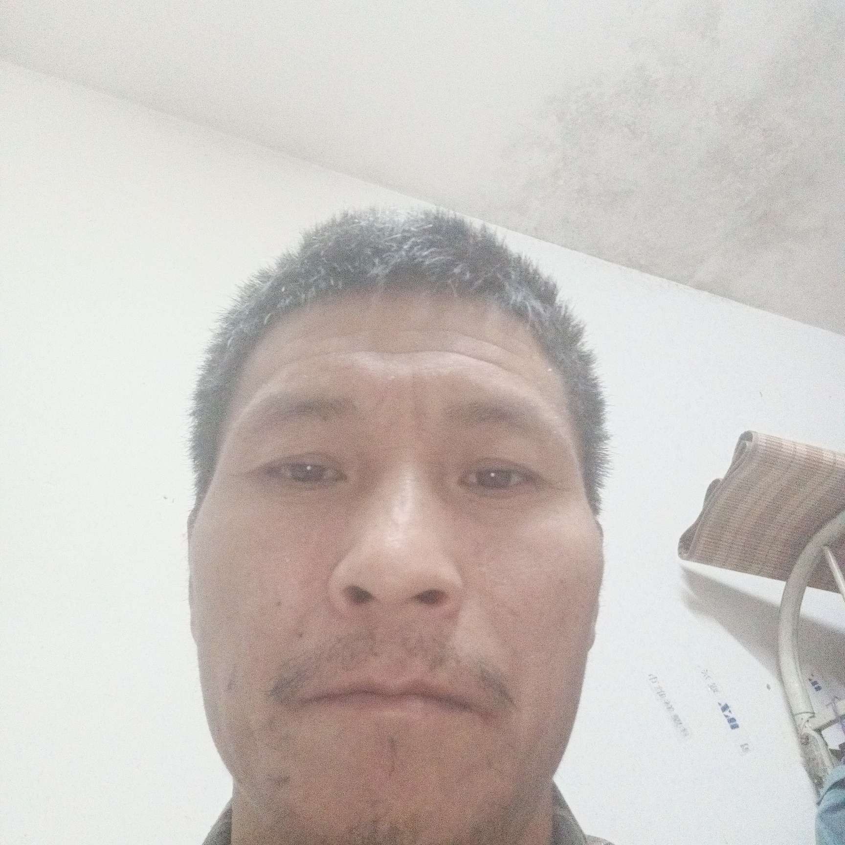 如意等待豌豆的照片