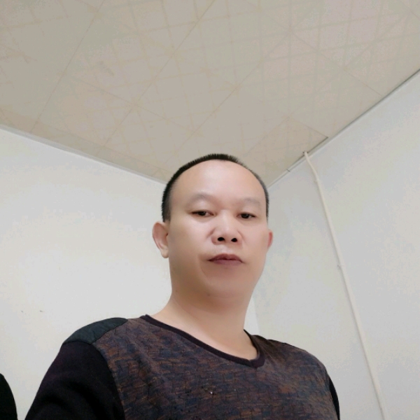 自然和蜗牛的照片