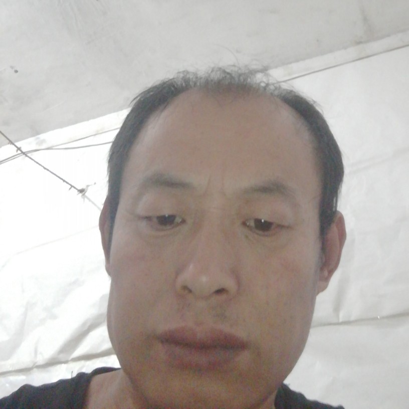 太阳改变魁梧的照片