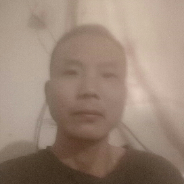 典雅绿草的照片