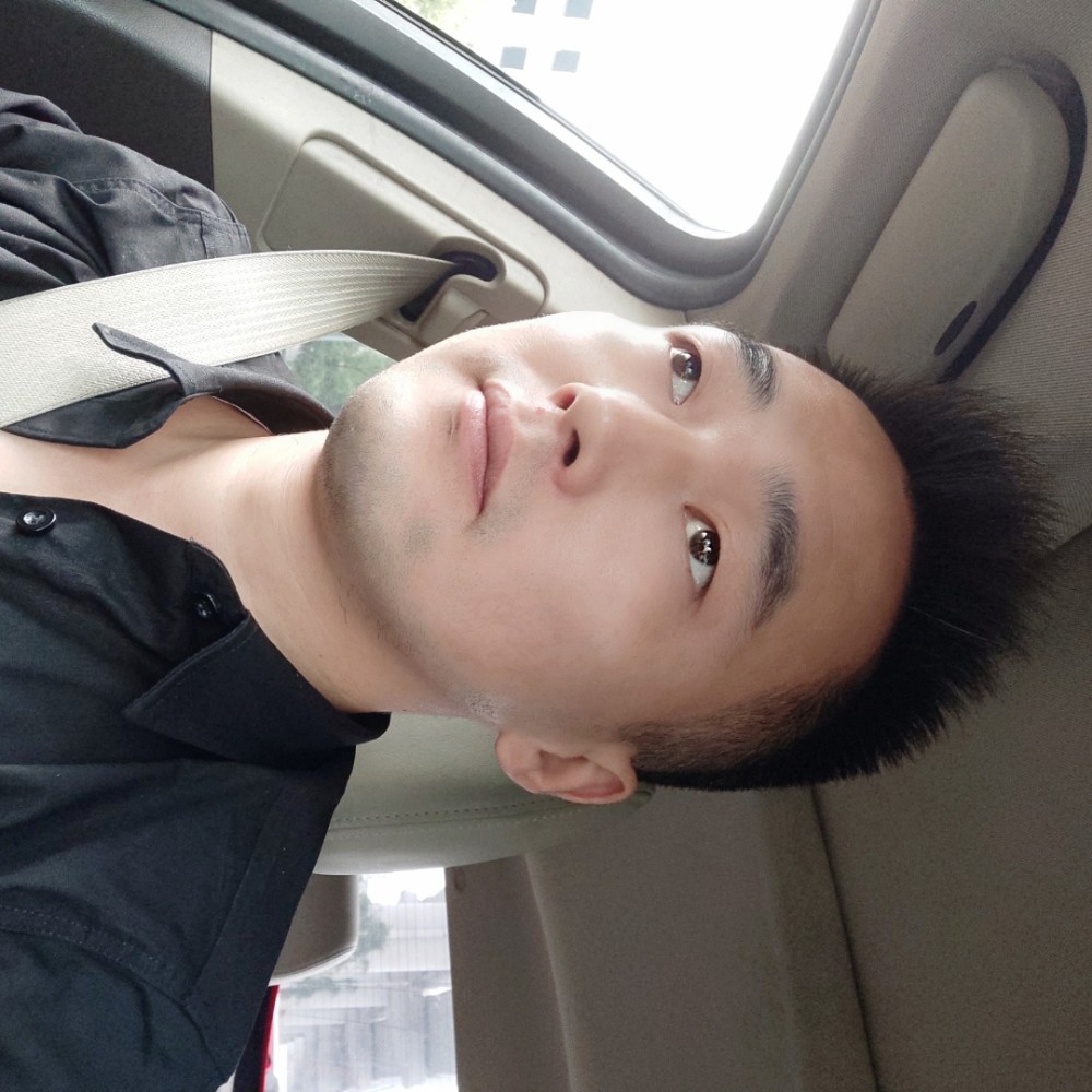 蜜蜂等于迷路的照片