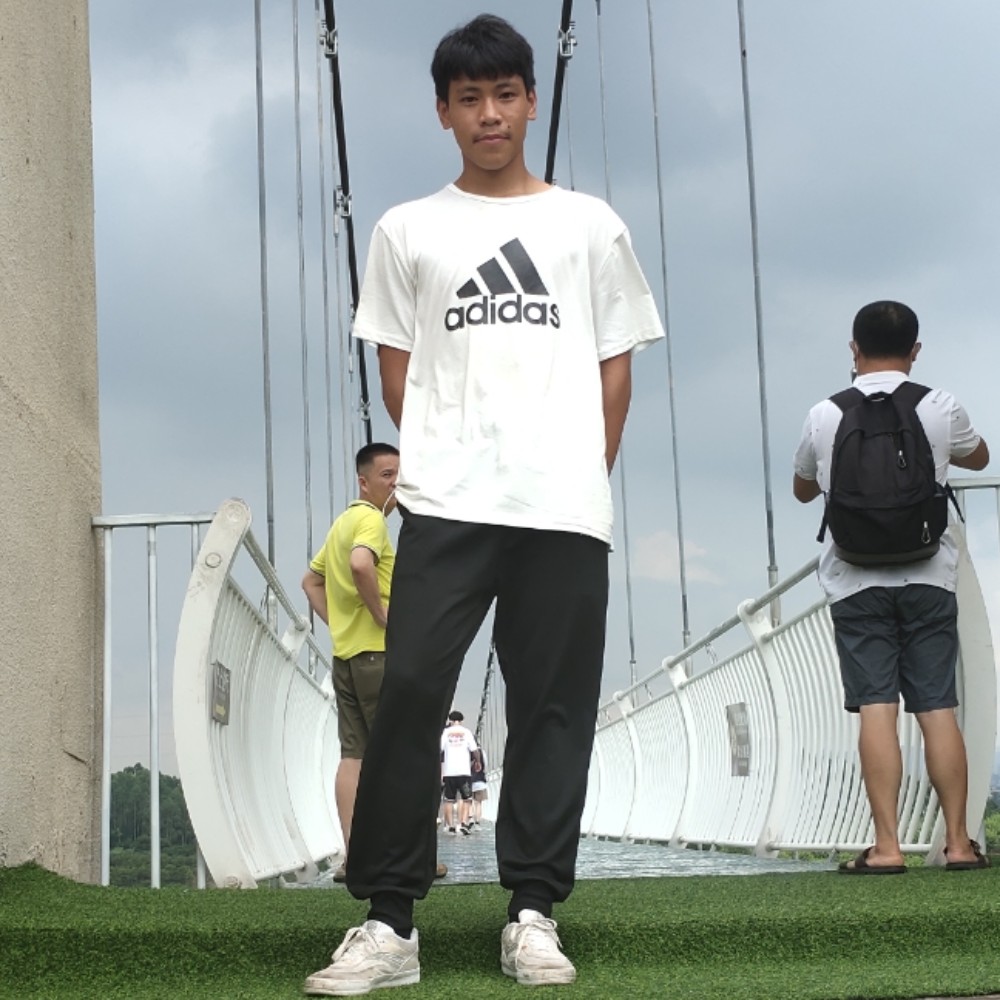 聪慧有星月的照片