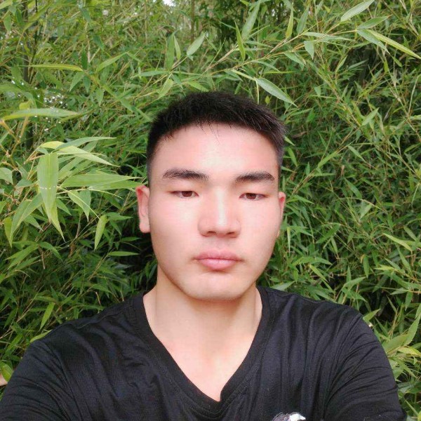 七分风流的照片